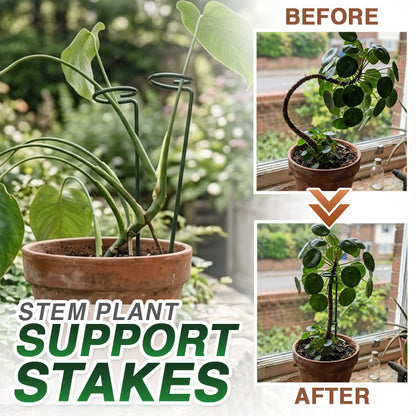 Stem Plant Support Stakes