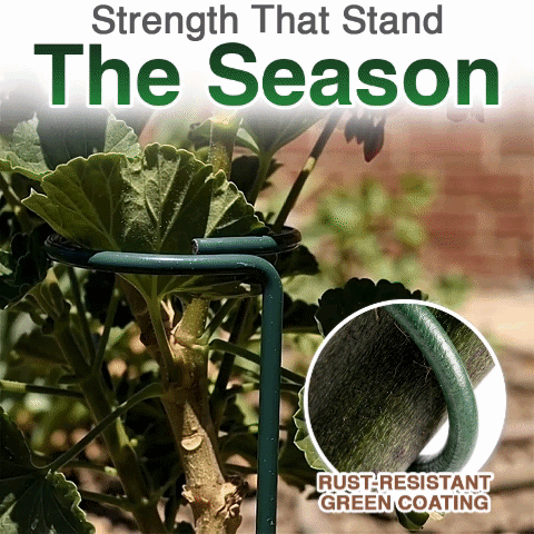 Stem Plant Support Stakes