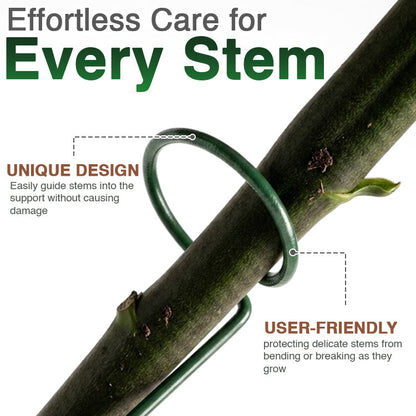 Stem Plant Support Stakes