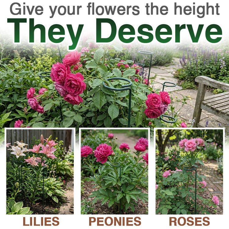 Stem Plant Support Stakes