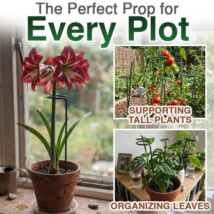 Stem Plant Support Stakes