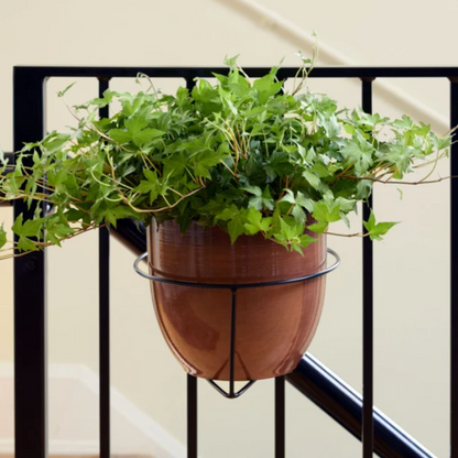 Floating Railing Planter - Plant Clip