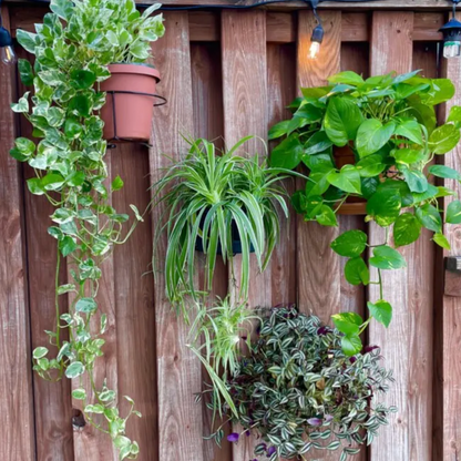 Floating Railing Planter - Plant Clip