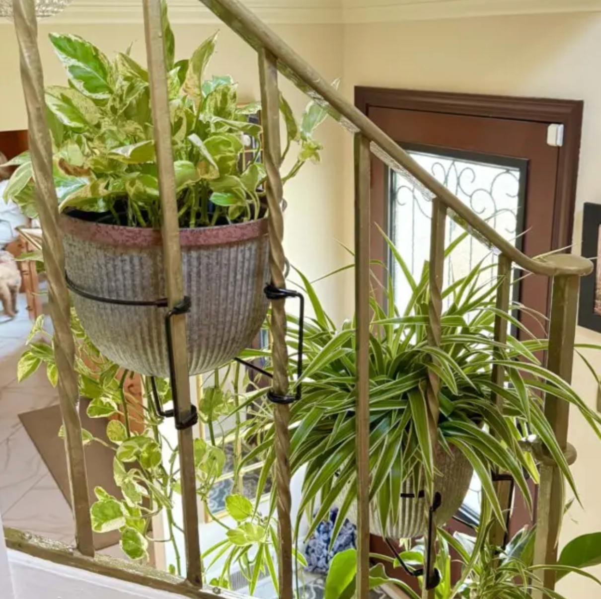 Floating Railing Planter - Plant Clip