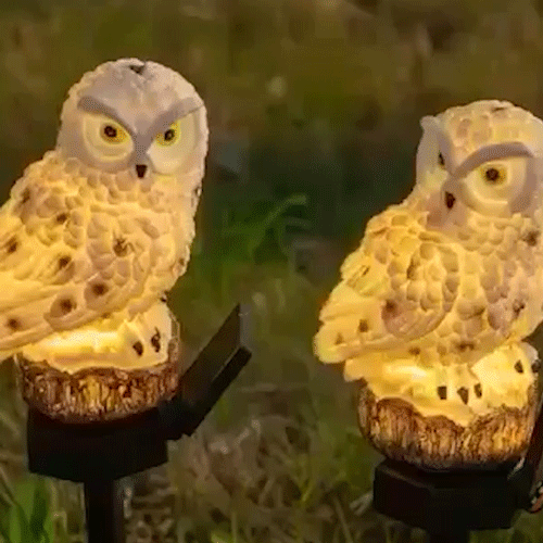 ⭐️Solar Owl Light