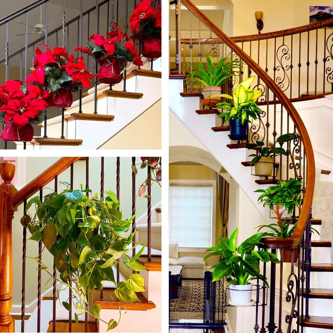 ✅ Floating Railing Planter - Plant Clip 💐